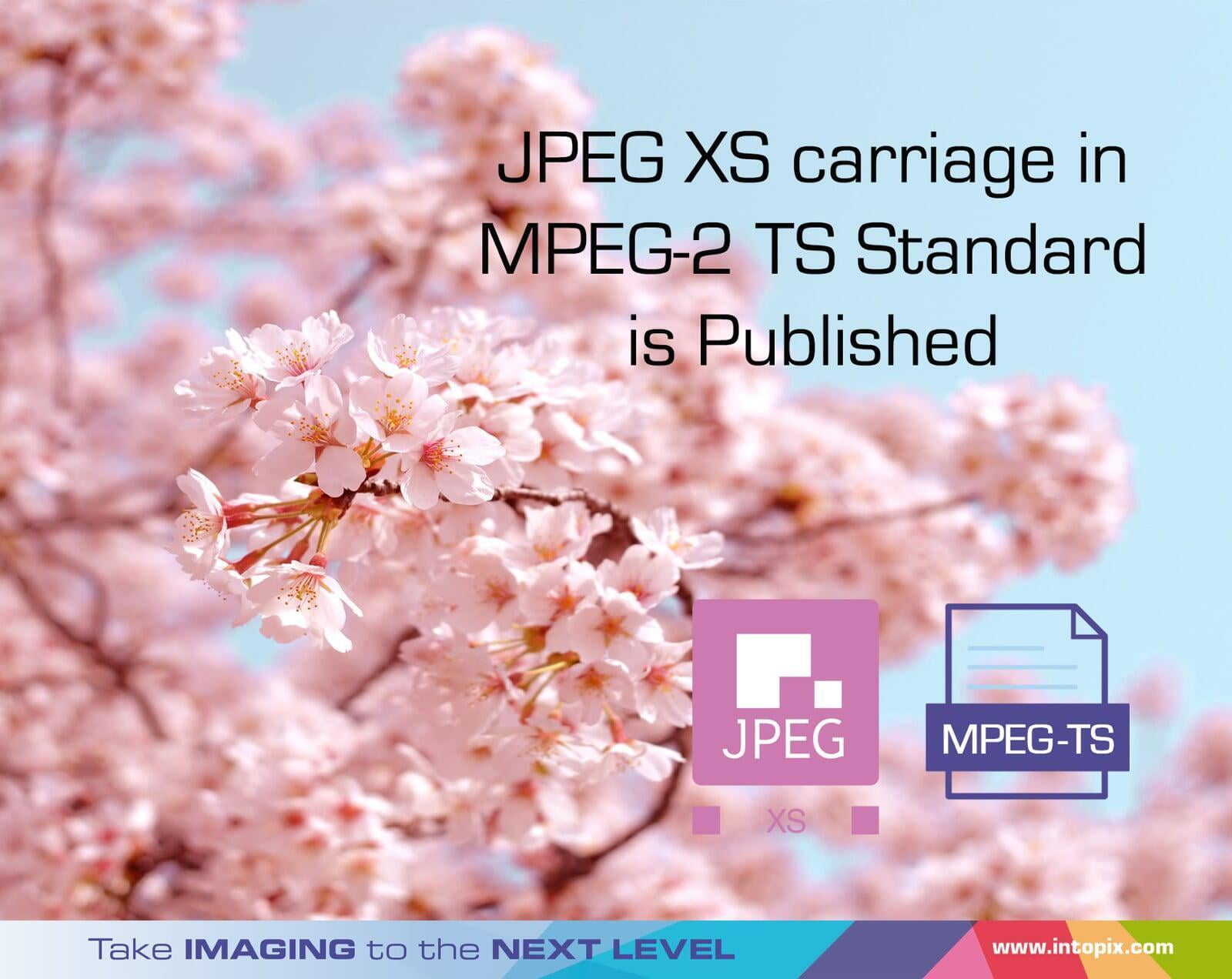 MPEG-2 TS 표준의 JPEG XS 캐리지가 게시됨